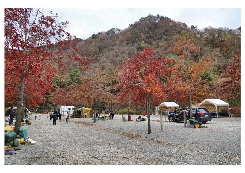 진동리국민여가캠핑장 티네이처캠프 1 67페이지