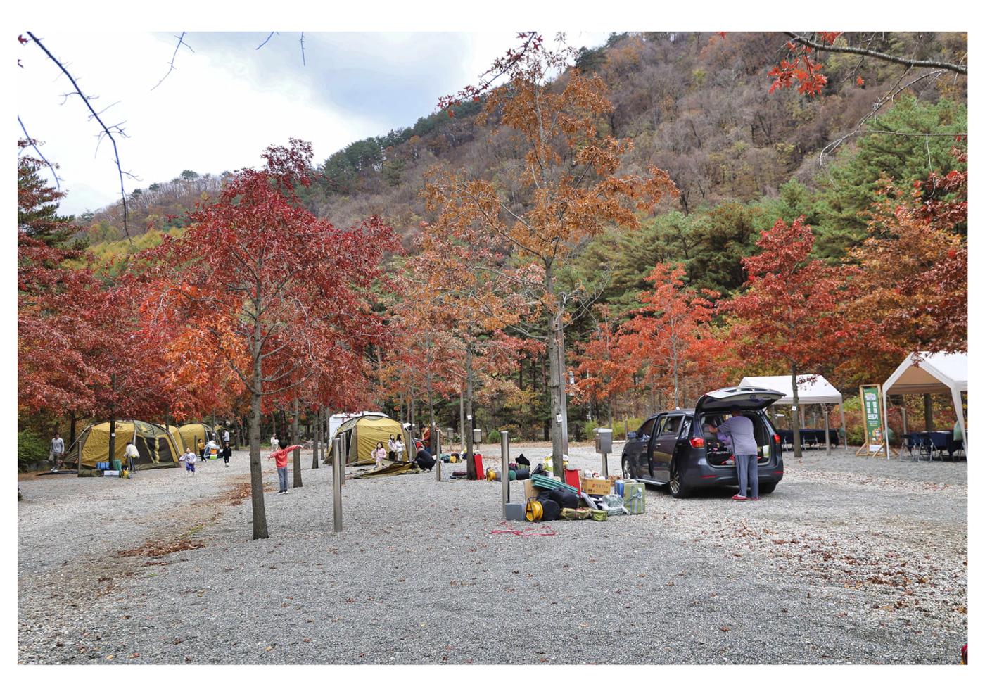 진동리국민여가캠핑장 티네이처캠프 1 70페이지