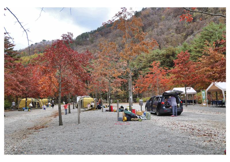 진동리국민여가캠핑장 티네이처캠프 1 70페이지