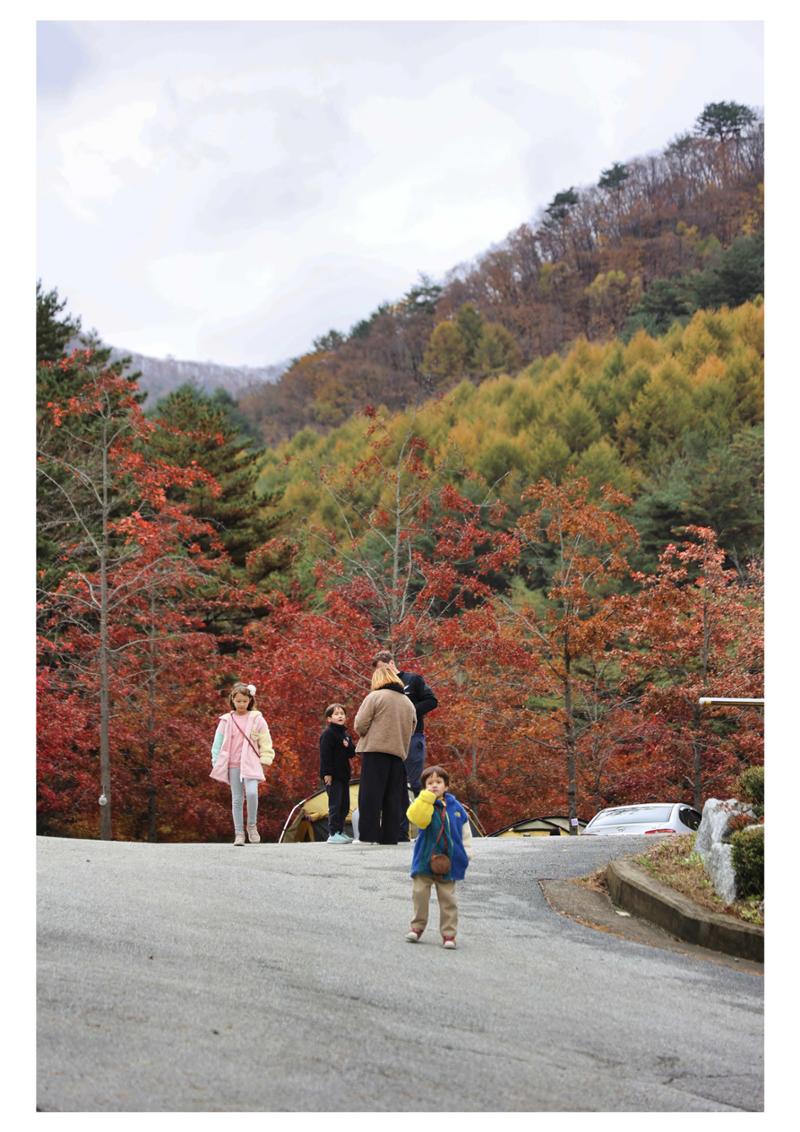 진동리국민여가캠핑장 티네이처캠프 2 13페이지