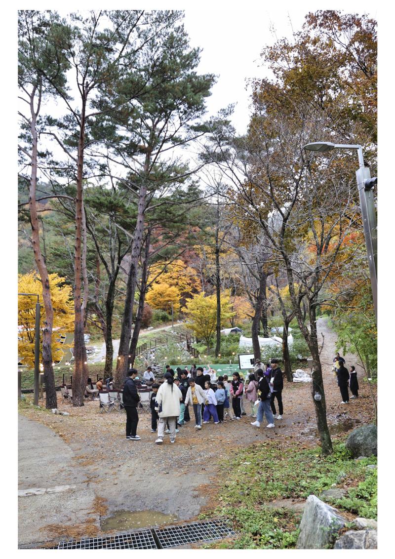 진동리국민여가캠핑장 티네이처캠프 2 61페이지