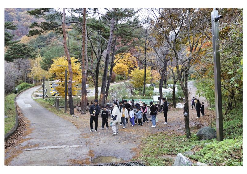 진동리국민여가캠핑장 티네이처캠프 2 62페이지