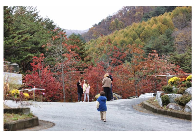진동리국민여가캠핑장 티네이처캠프 2 12페이지