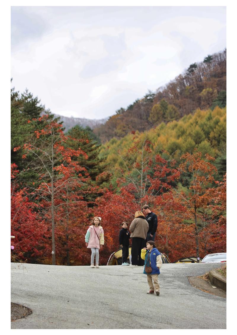 진동리국민여가캠핑장 티네이처캠프 2 14페이지