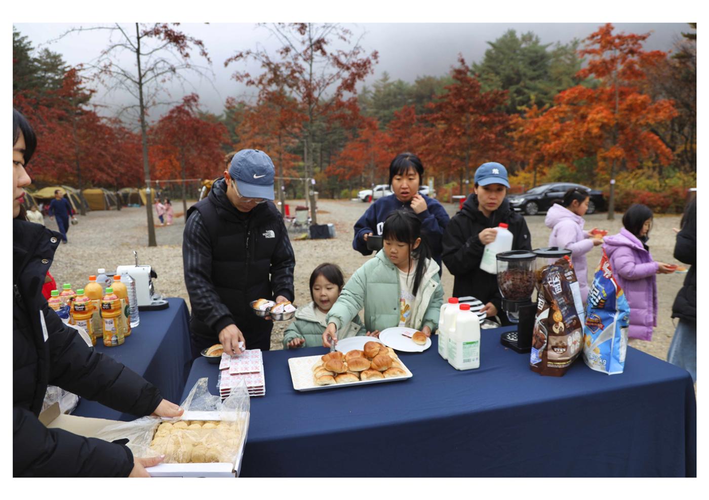 진동리국민여가캠핑장 티네이처캠프6 6페이지