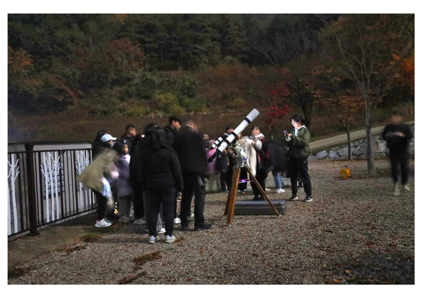 진동리국민여가캠핑장 티네이처캠프 8 54페이지