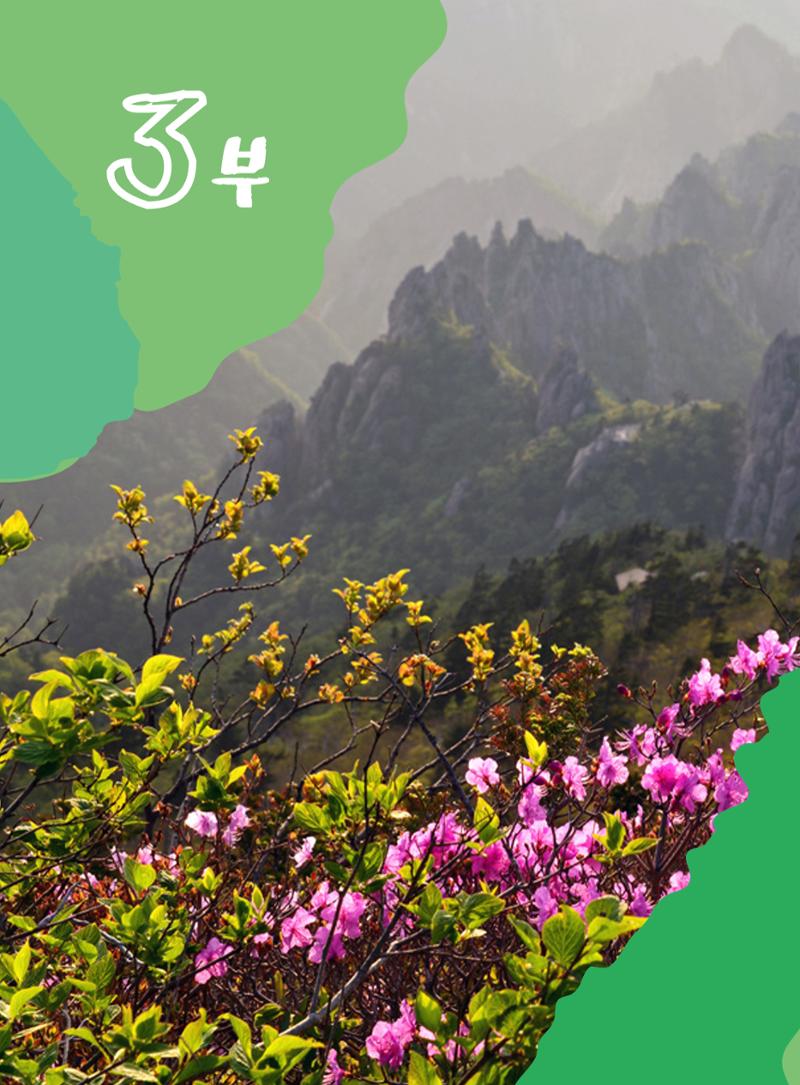 나의고장 하늘내린 인제 117페이지