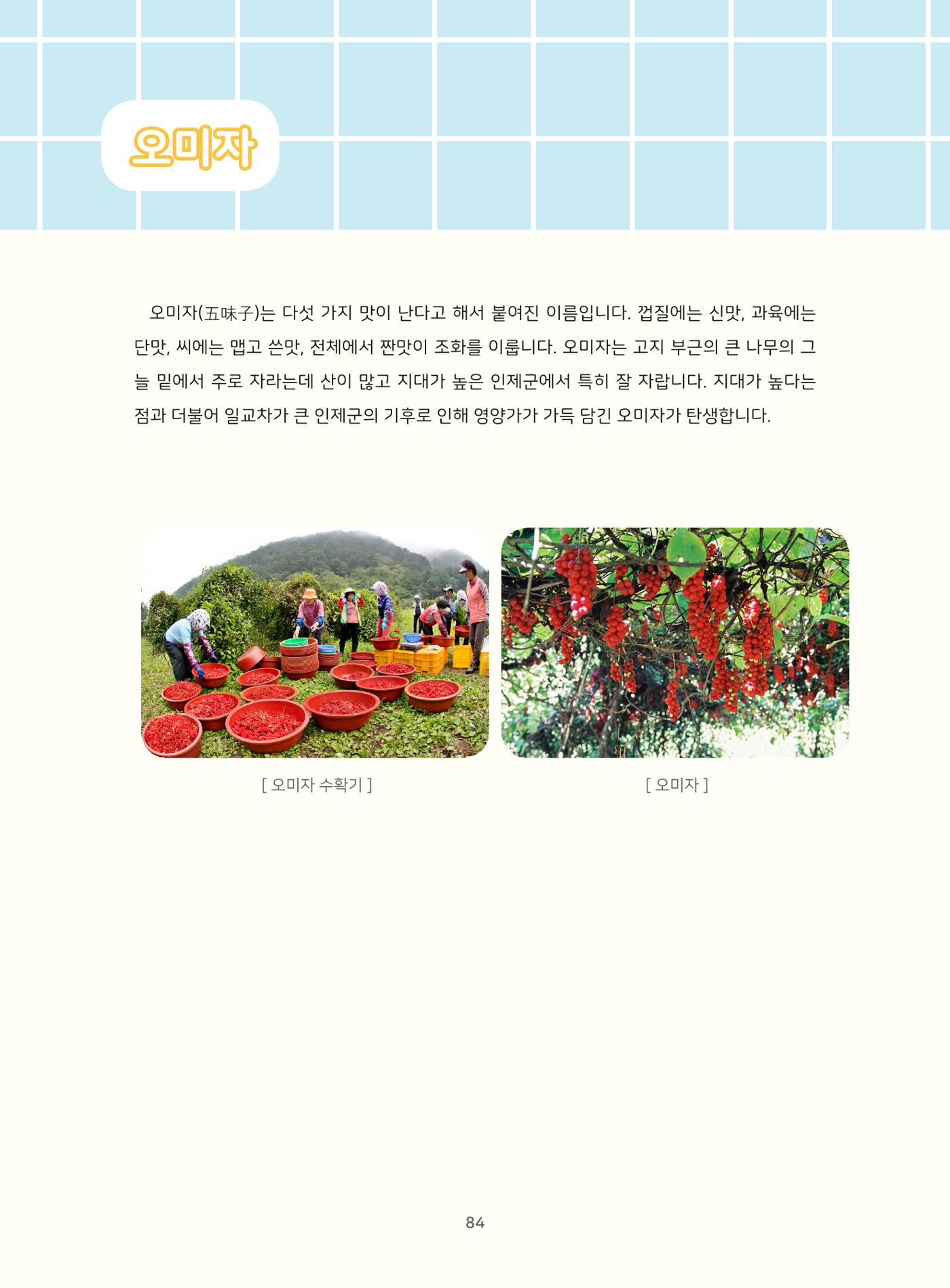 나의고장 하늘내린 인제 88페이지