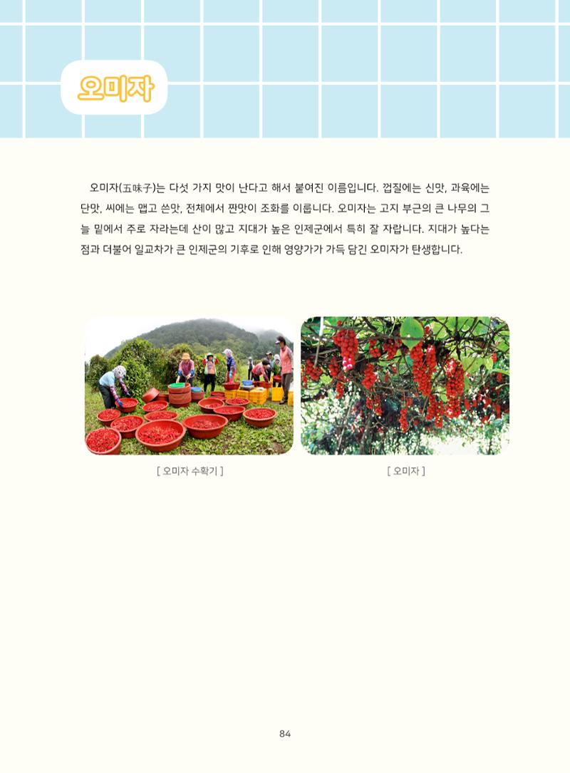 나의고장 하늘내린 인제 88페이지