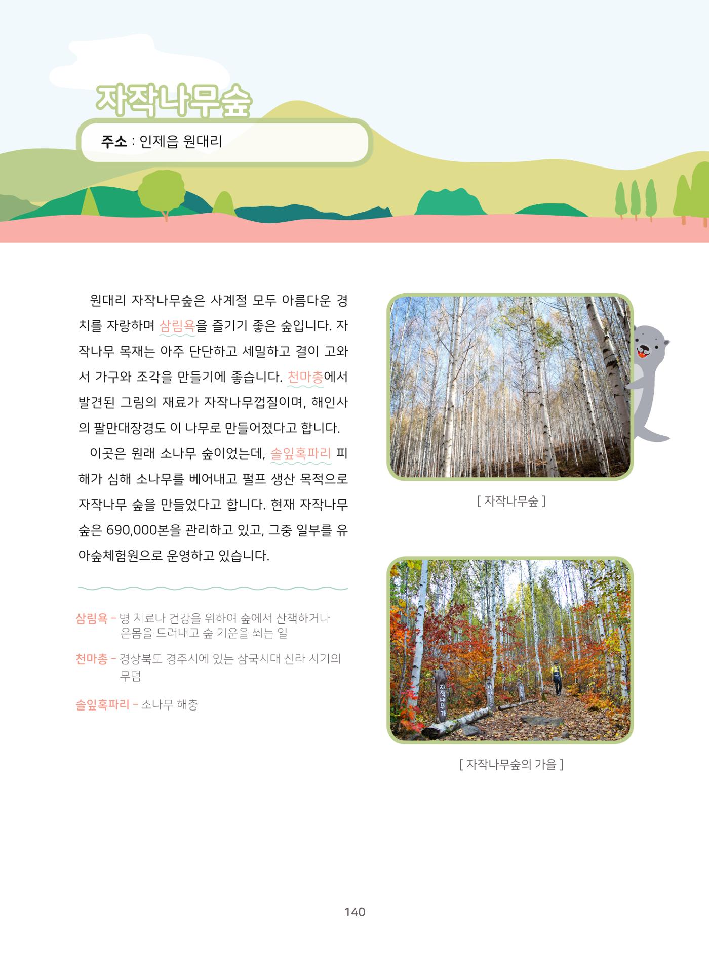 나의고장 하늘내린 인제 144페이지
