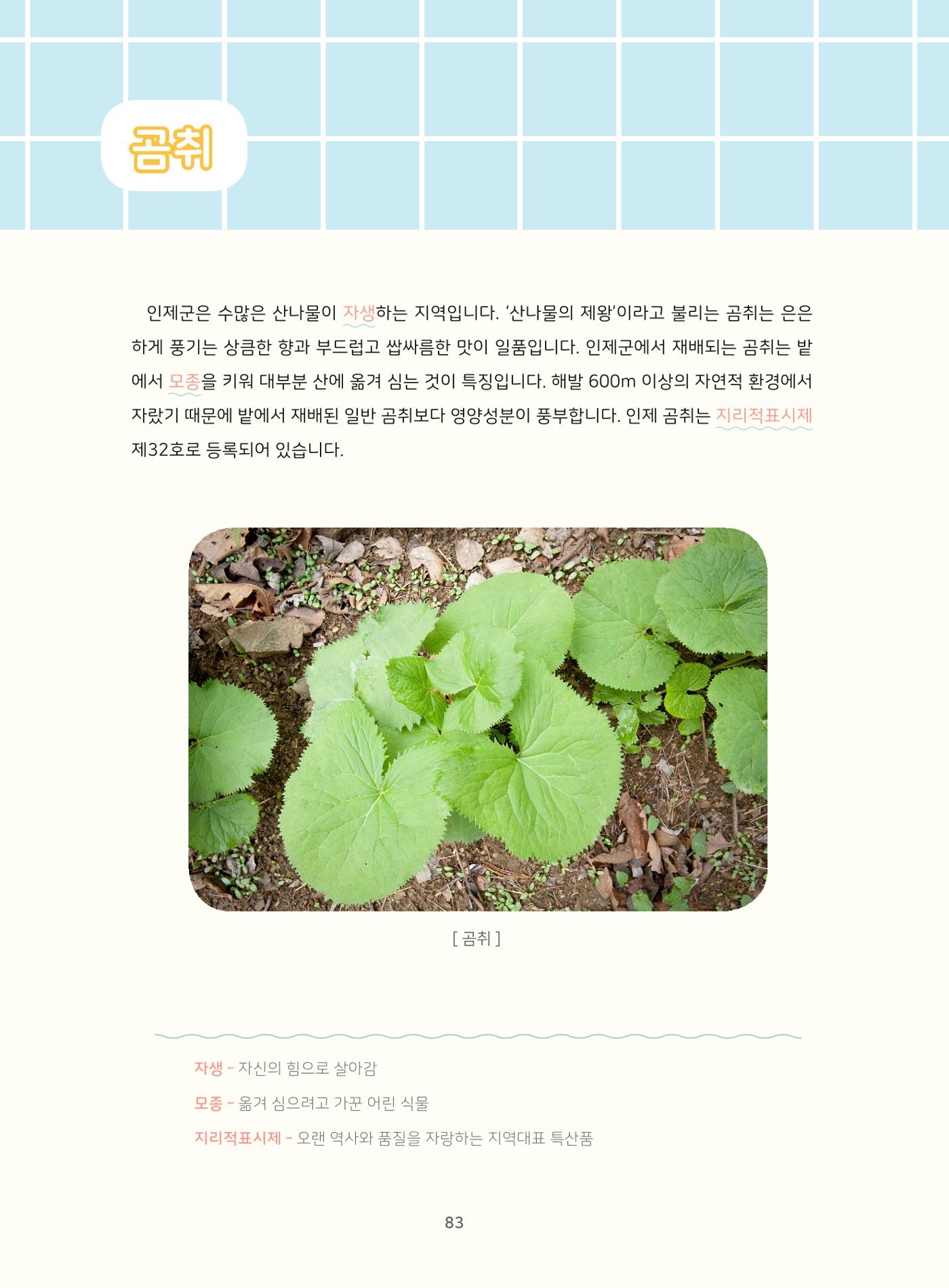 나의고장 하늘내린 인제 87페이지