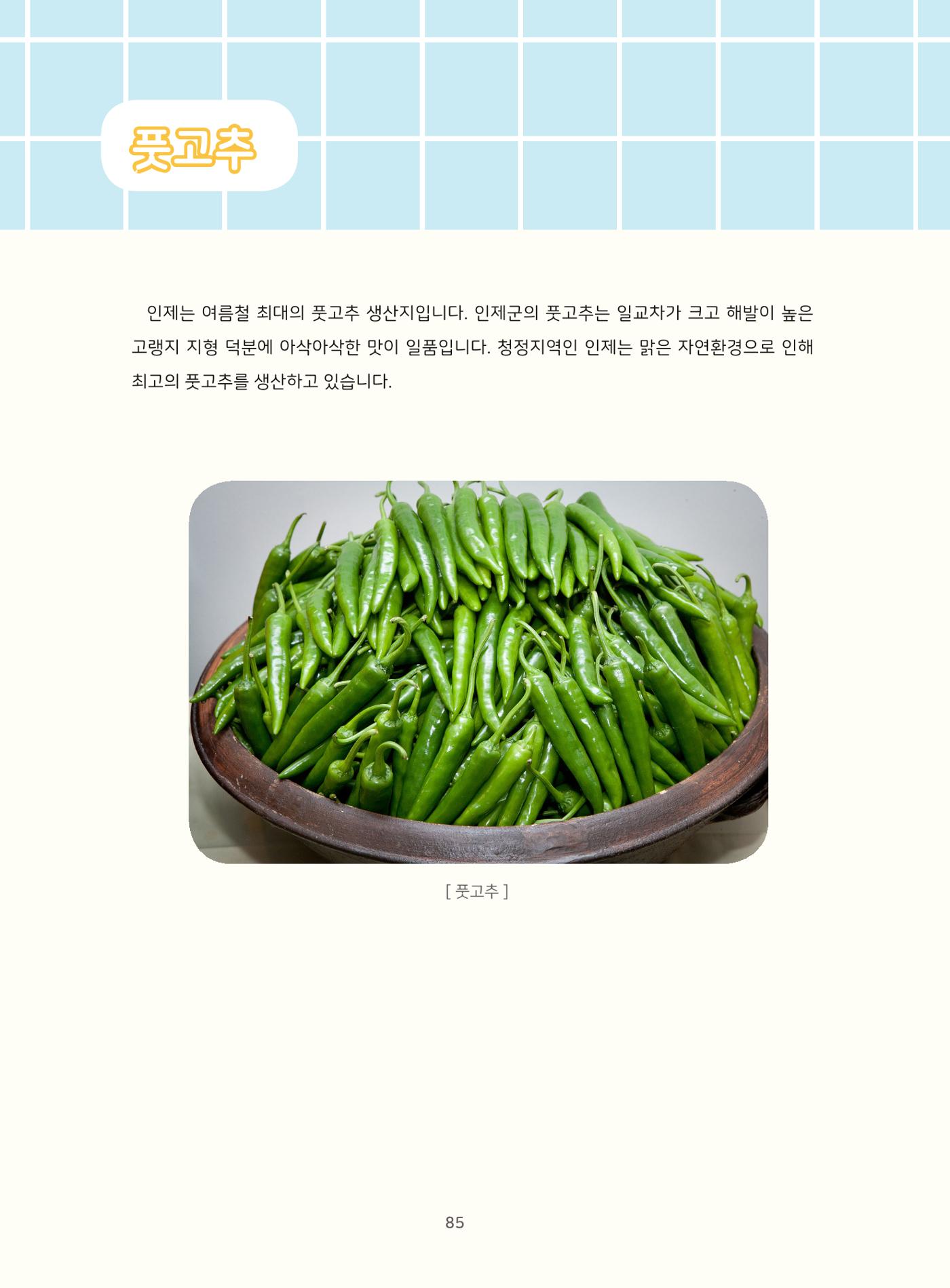 나의고장 하늘내린 인제 89페이지