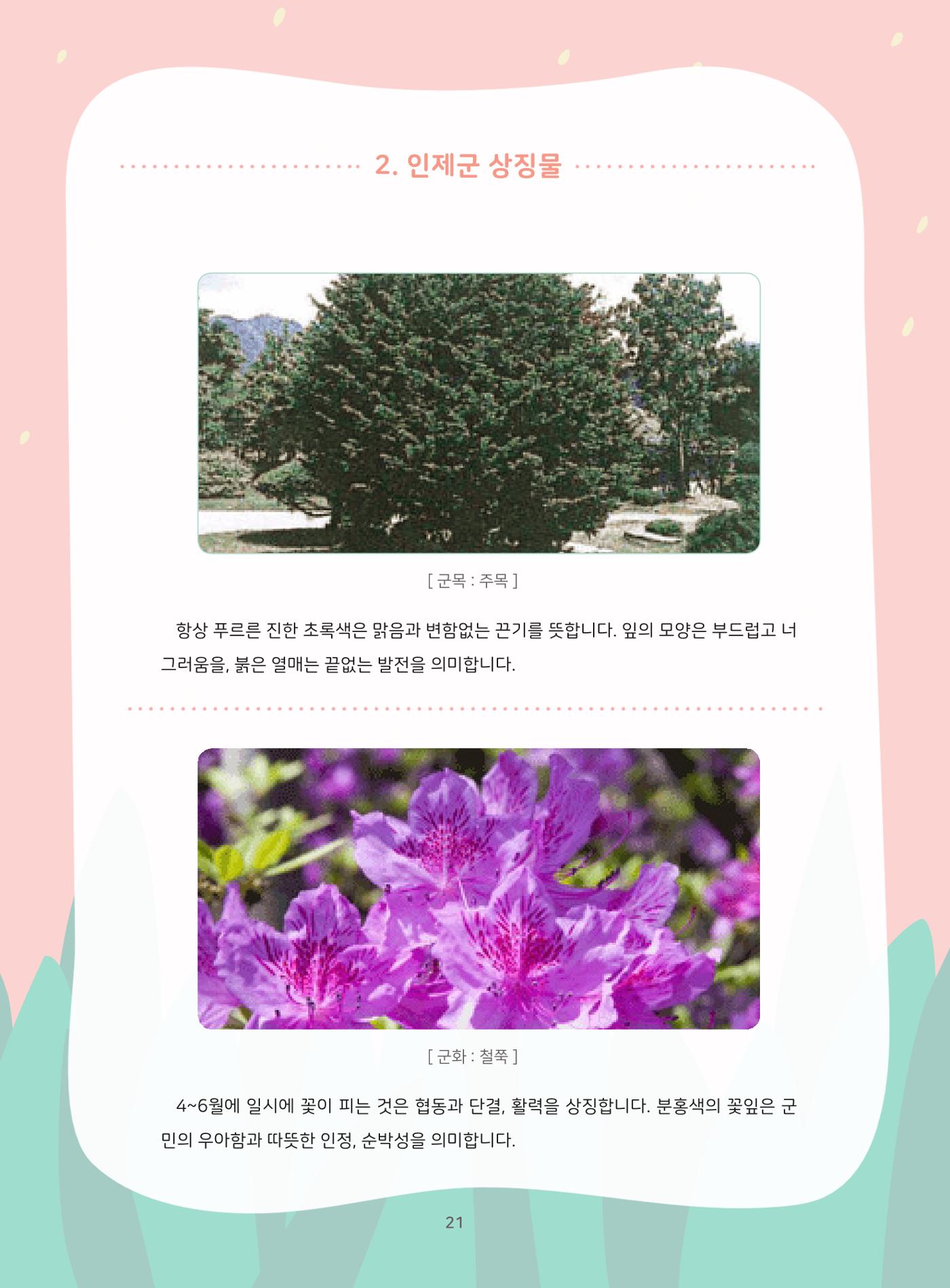 나의고장 하늘내린 인제 25페이지