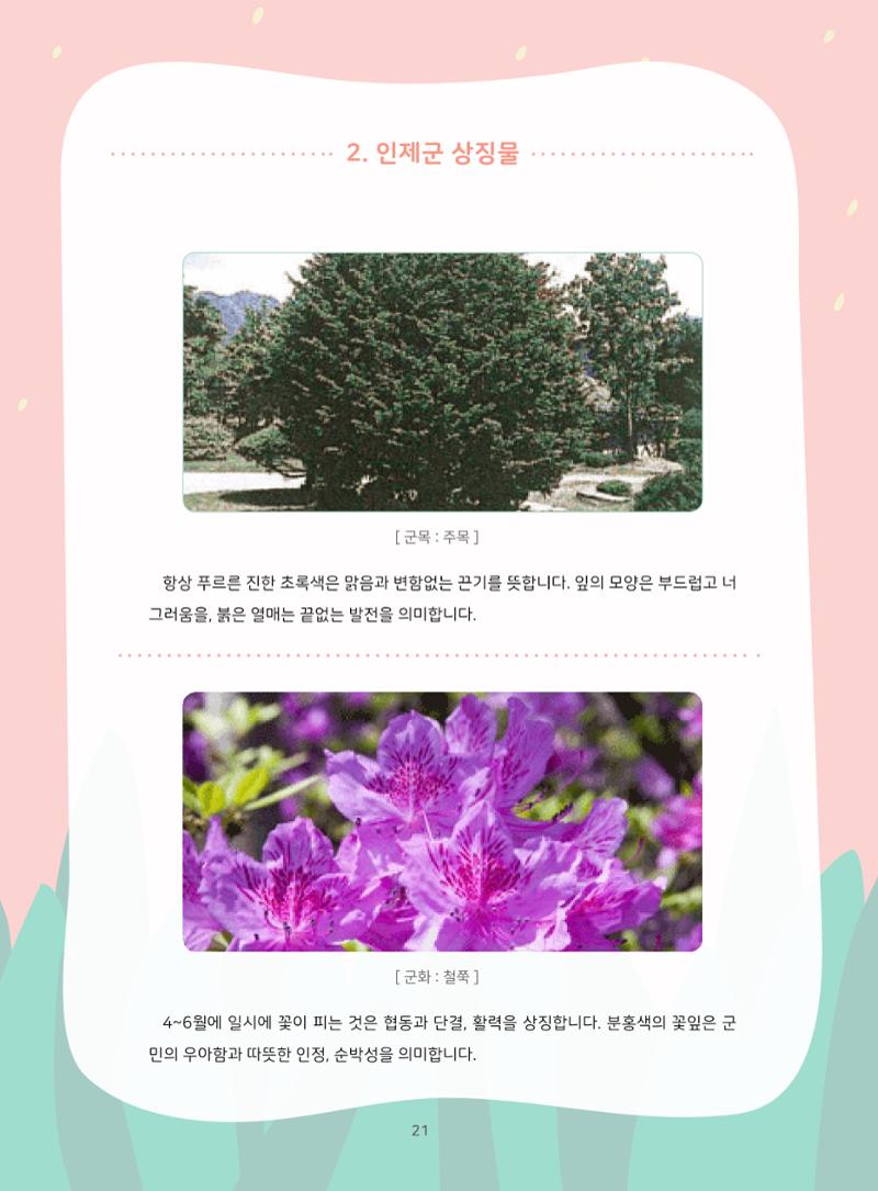 나의고장 하늘내린 인제 25페이지