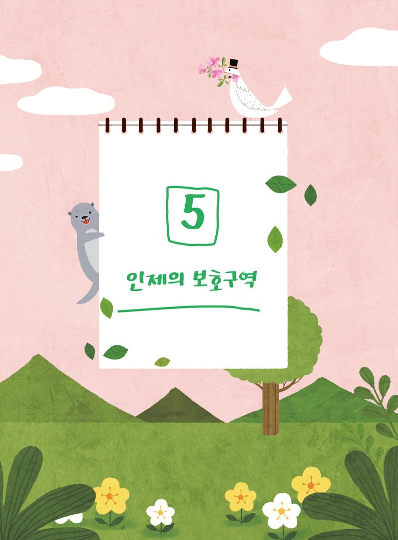 나의고장 하늘내린 인제 153페이지