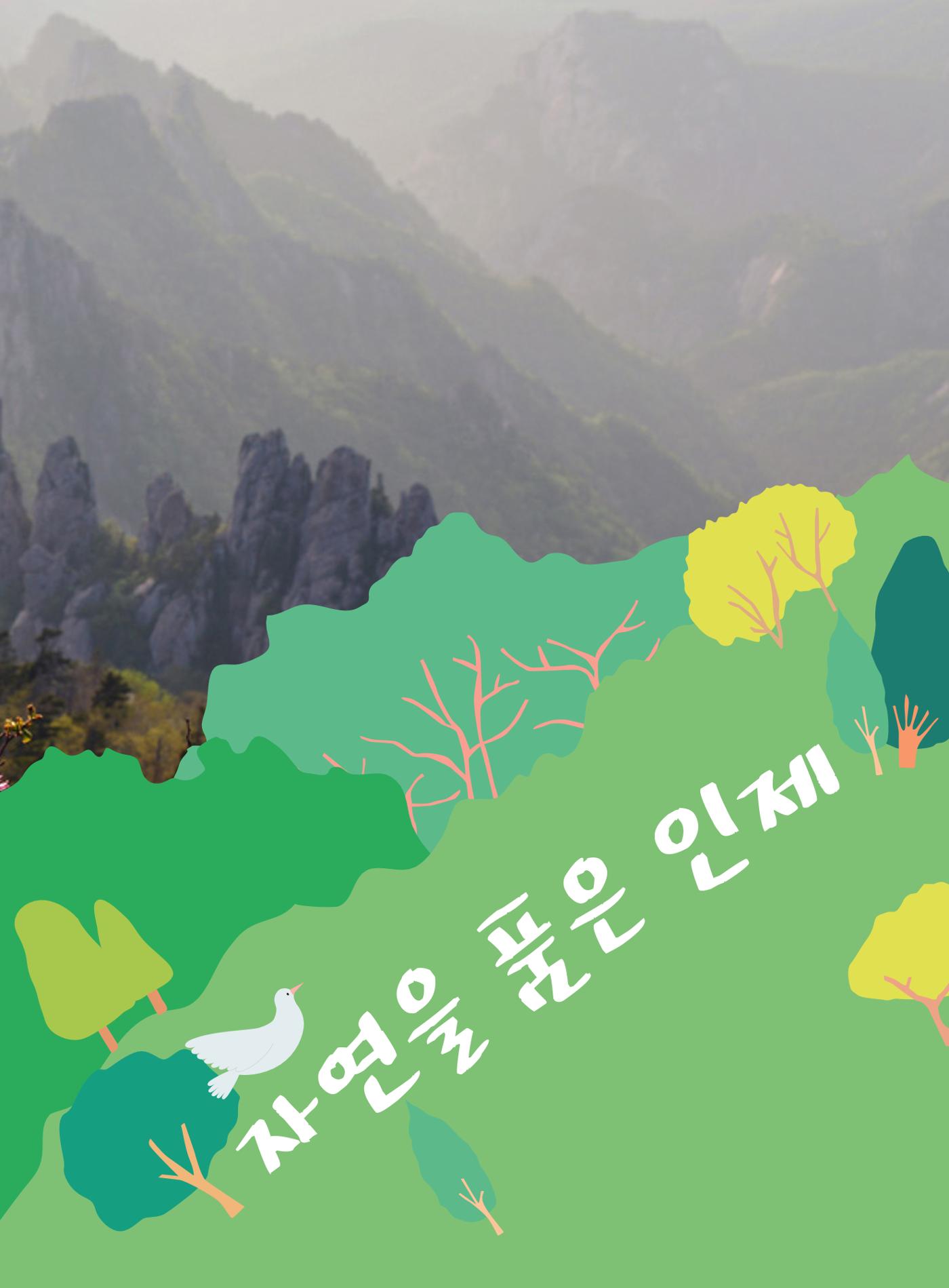 나의고장 하늘내린 인제 118페이지