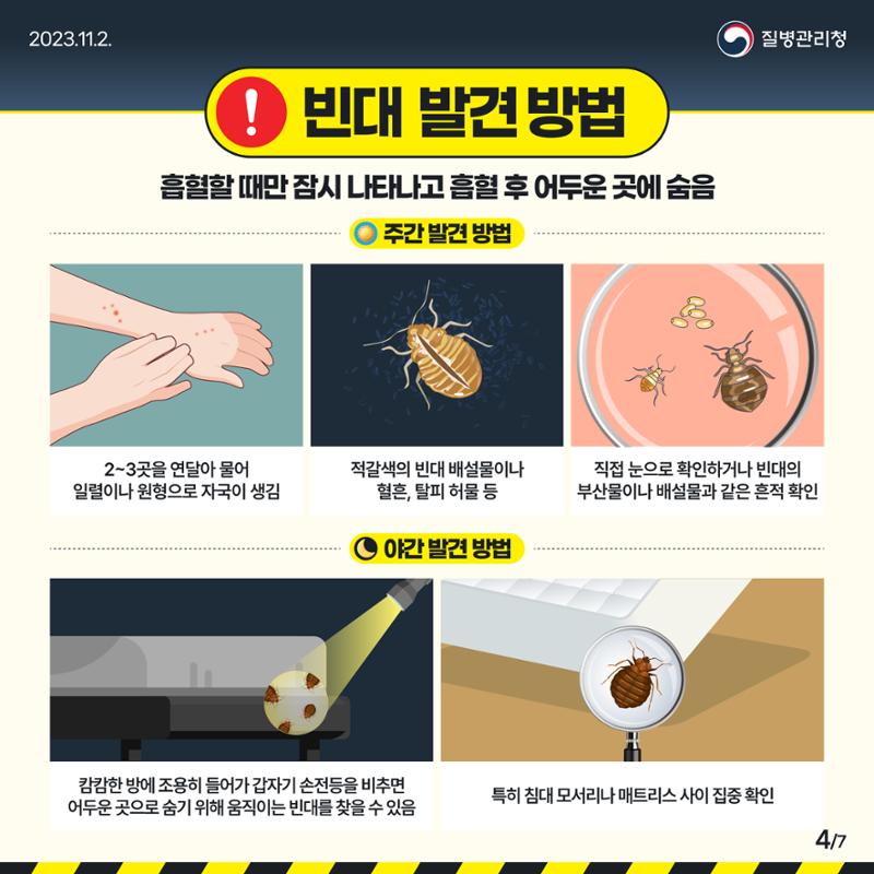 침대 속 흡혈귀 빈대, 바로 알고 미리 예방하기! 4페이지