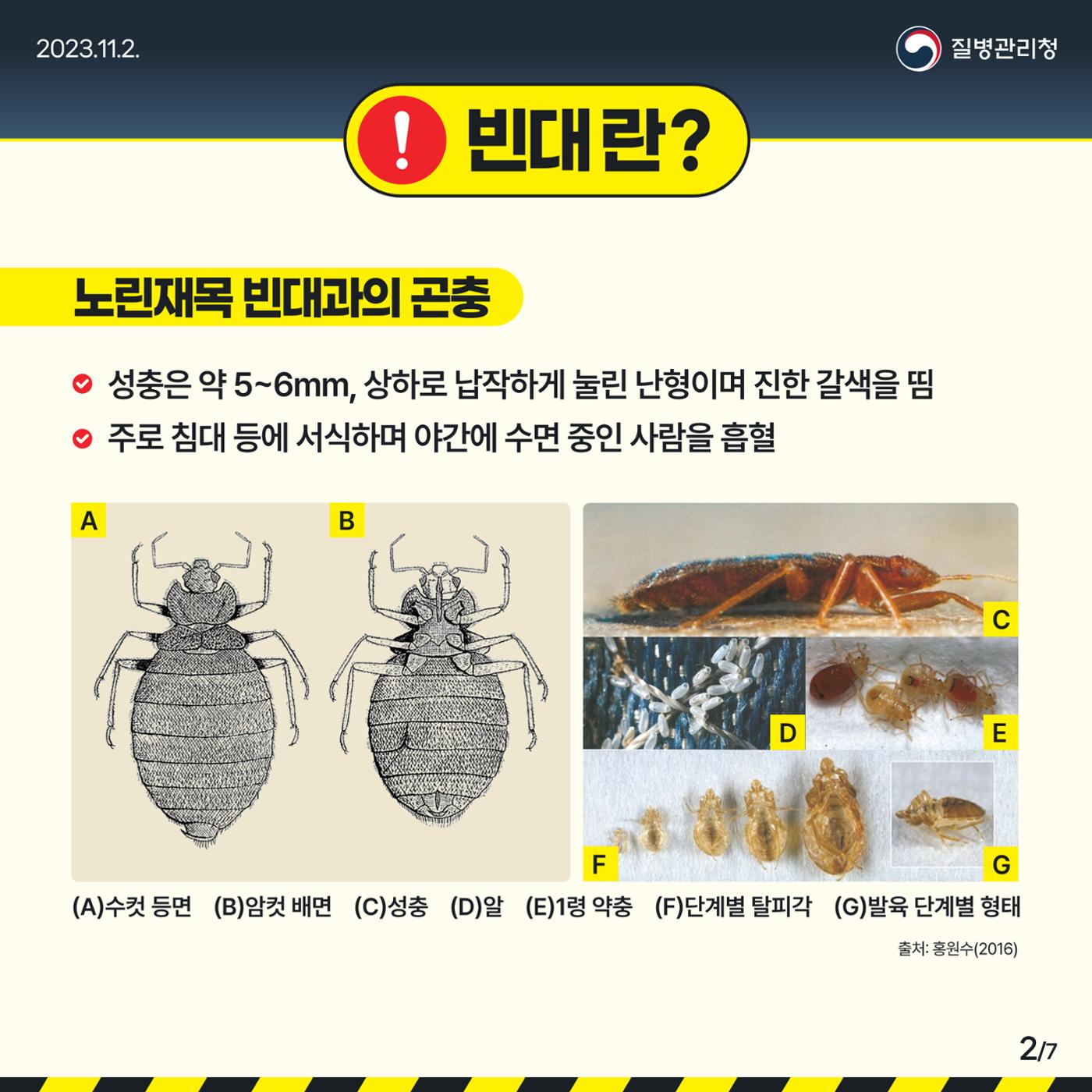 침대 속 흡혈귀 빈대, 바로 알고 미리 예방하기! 2페이지