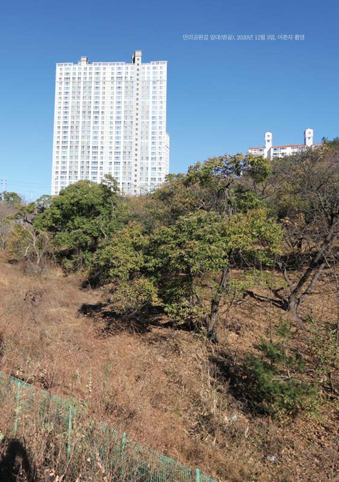 속초 문화특화지역조성사업 『도시기록사업 사진집』 23페이지