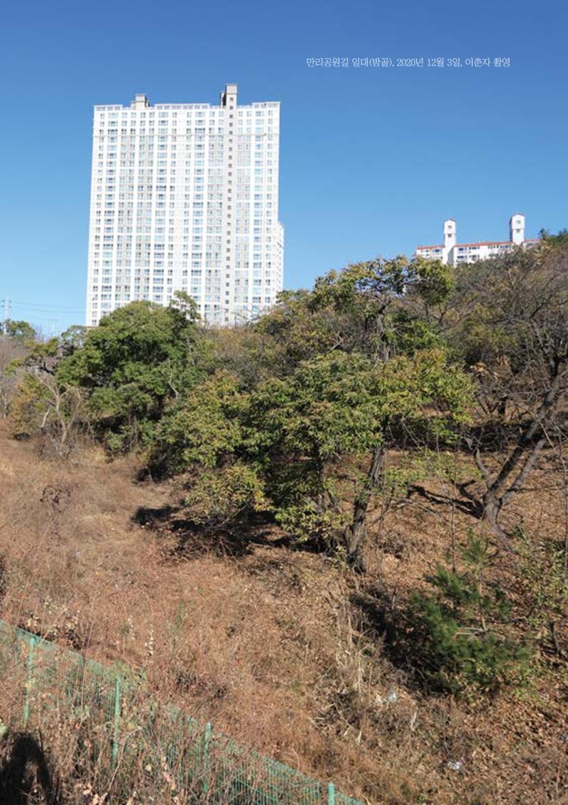 속초 문화특화지역조성사업 『도시기록사업 사진집』 23페이지