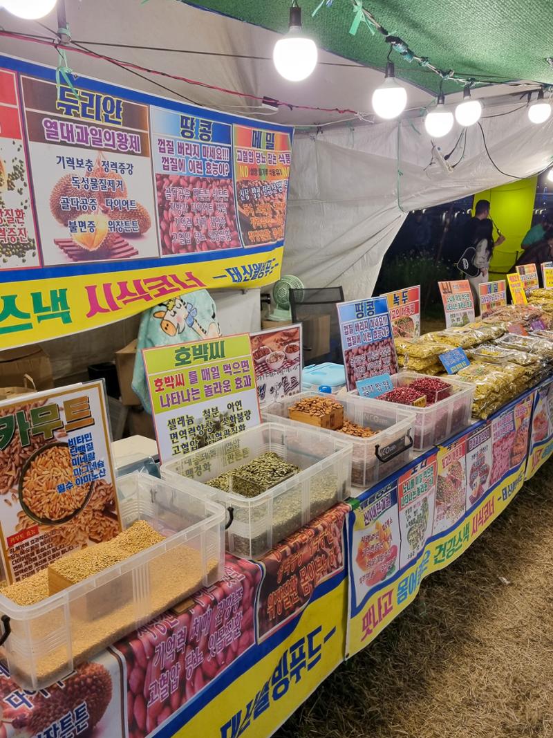 (사진) 2023년 원주 전통불빛축제 11페이지
