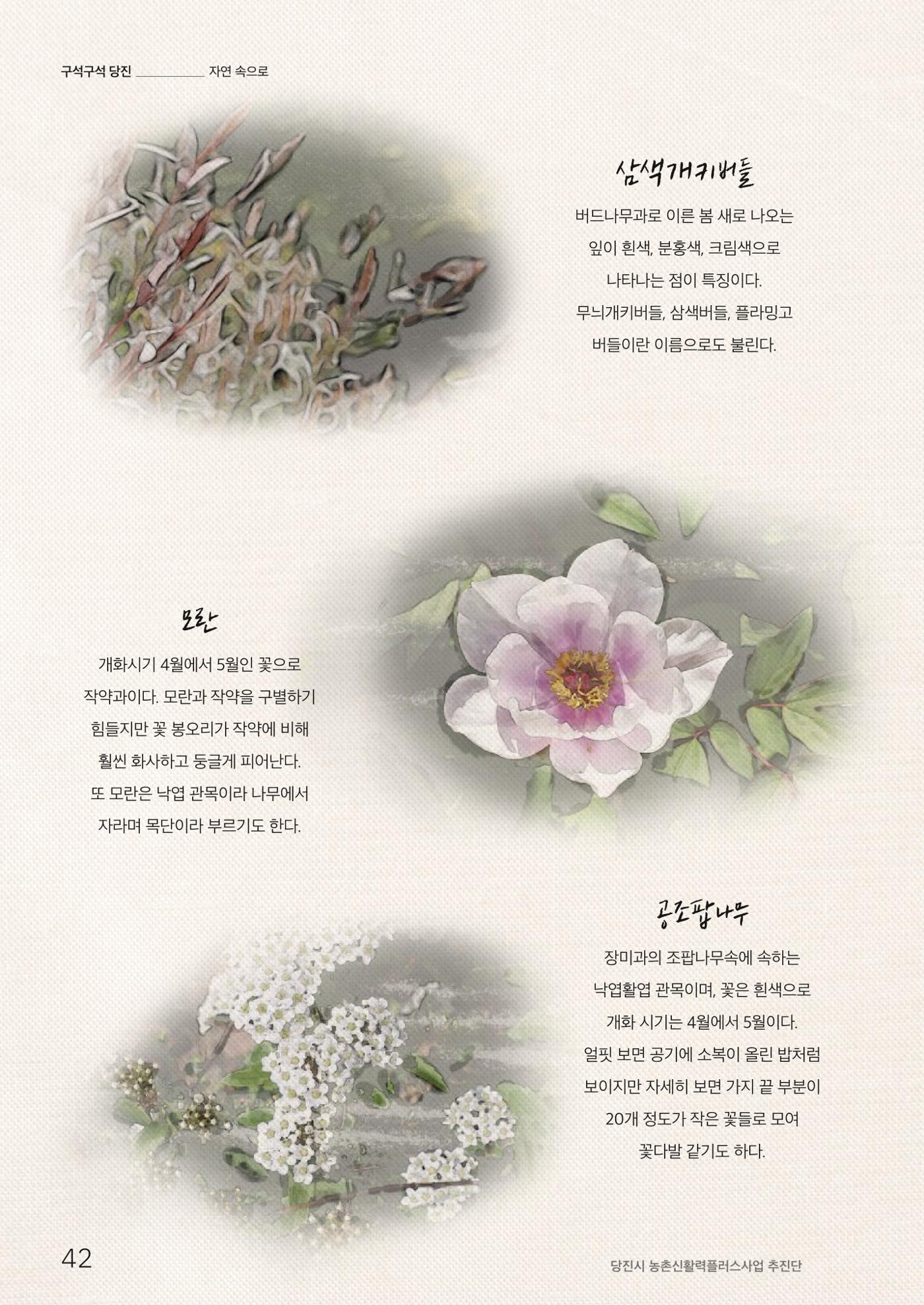 하와유당진 vol 1 43페이지