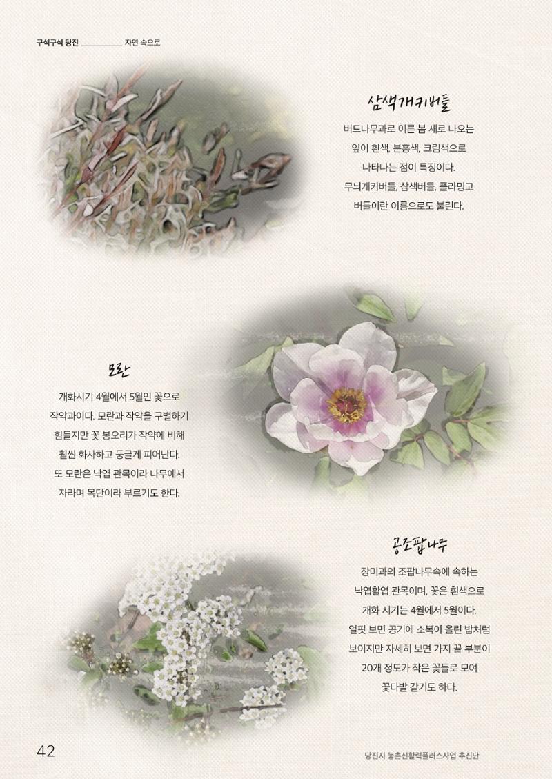 하와유당진 vol 1 43페이지