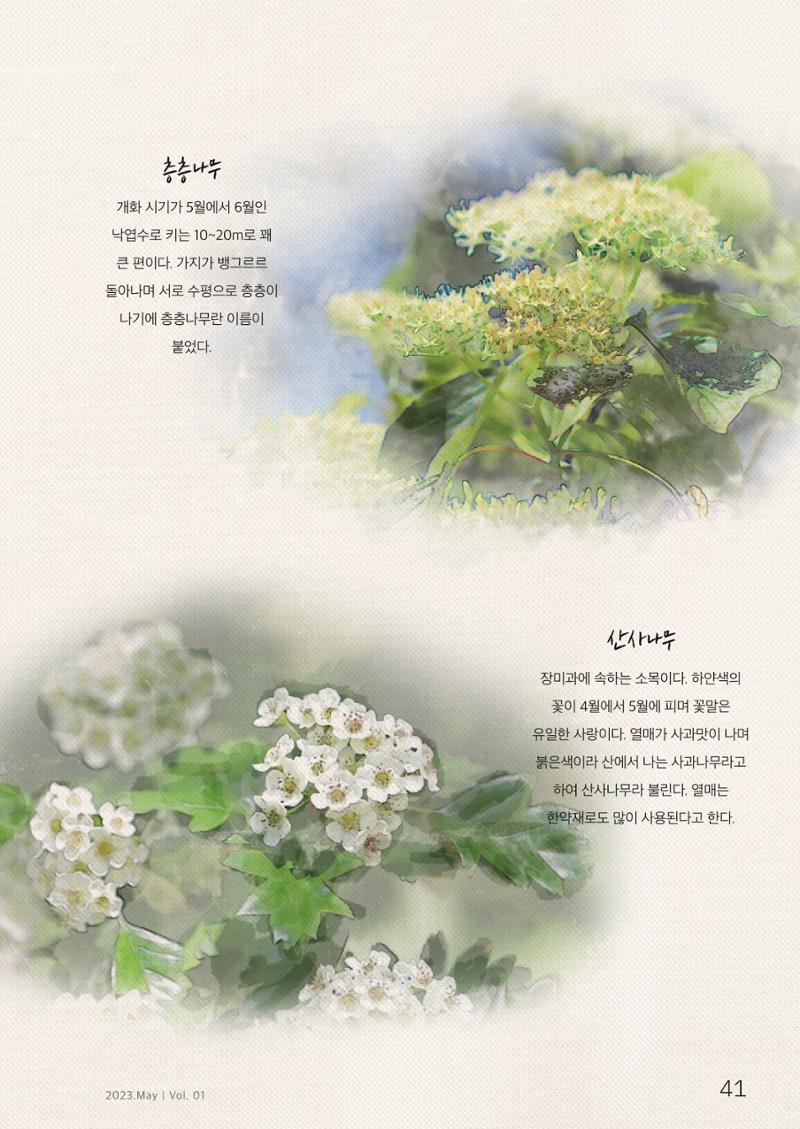 하와유당진 vol 1 42페이지
