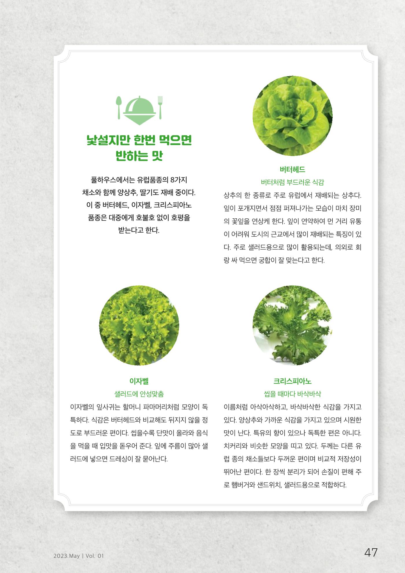하와유당진 vol 1 48페이지