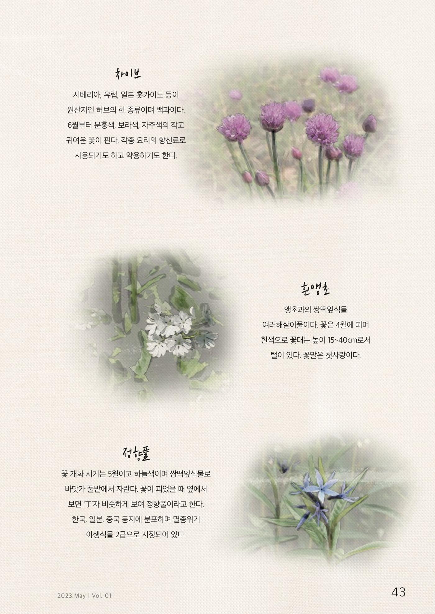 하와유당진 vol 1 44페이지