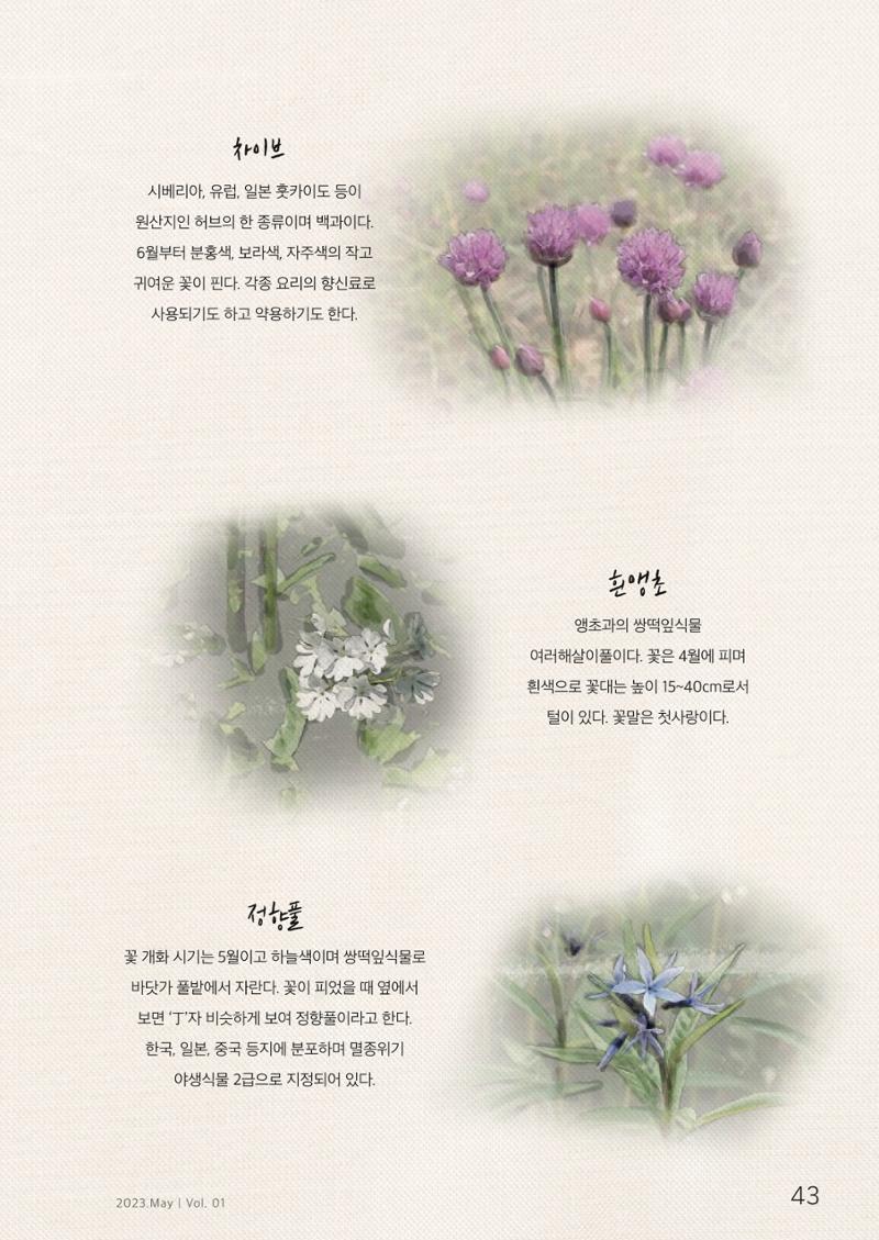하와유당진 vol 1 44페이지