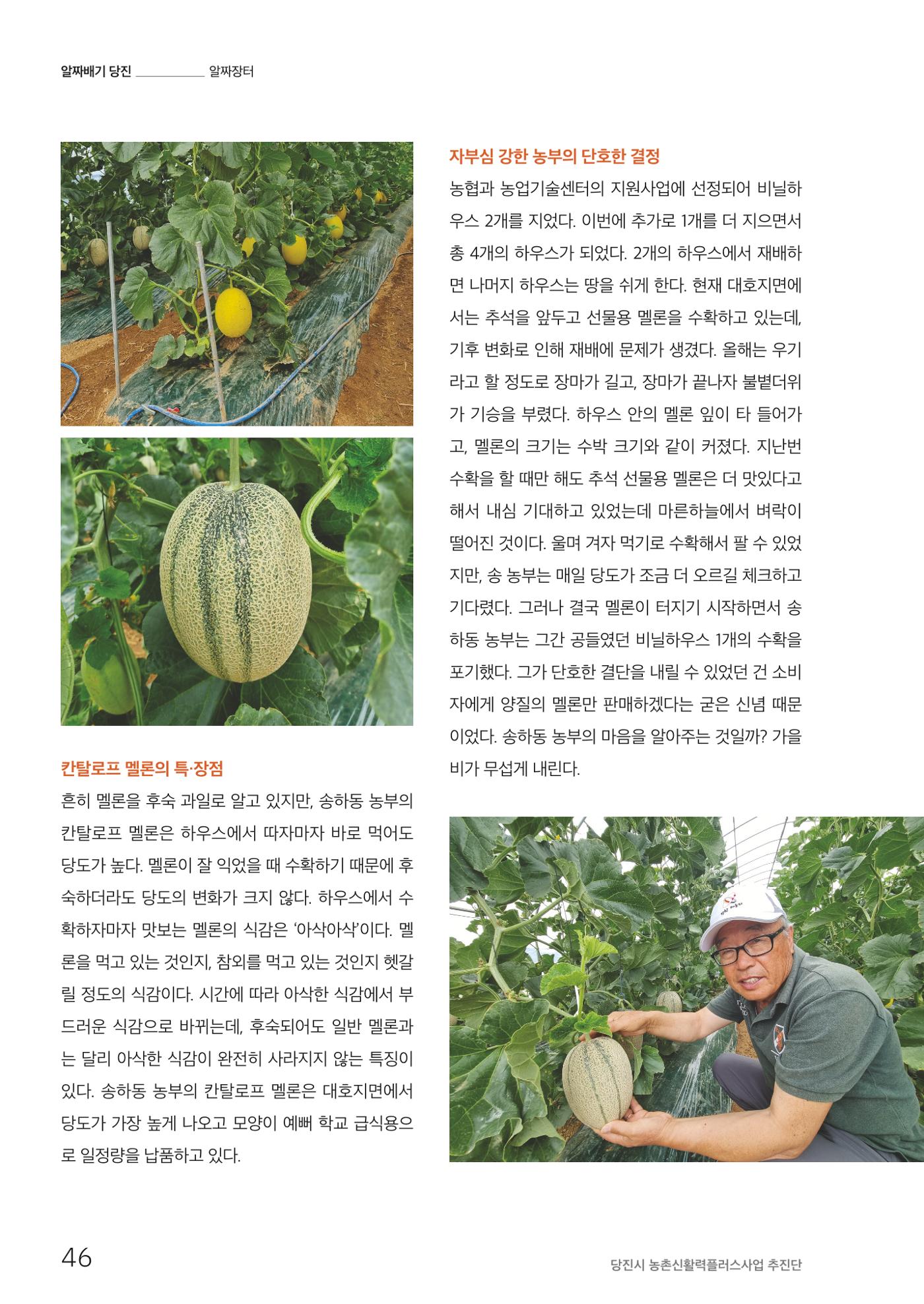 하와유당진 vol.2 47페이지