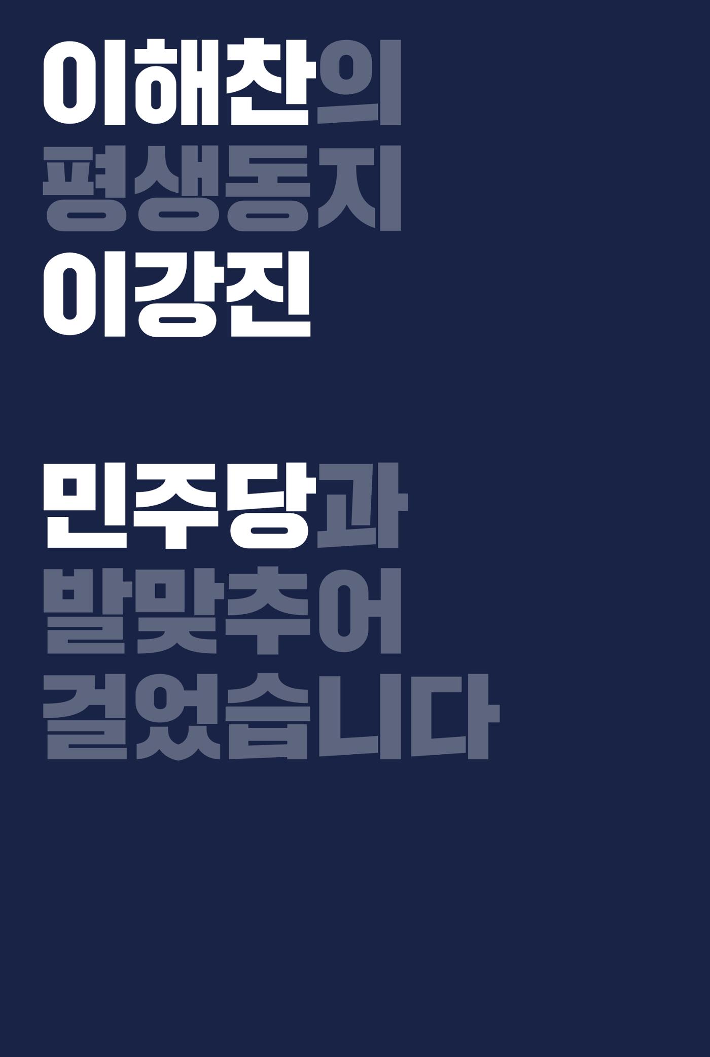 더불어민주당 세종(을) 국회의원 예비후보 이강진 2페이지