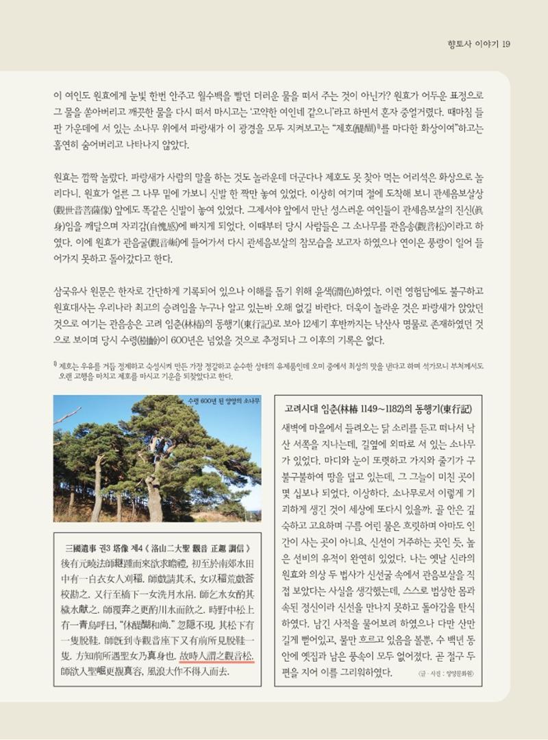 양양소식지 2024. 1월호 19페이지