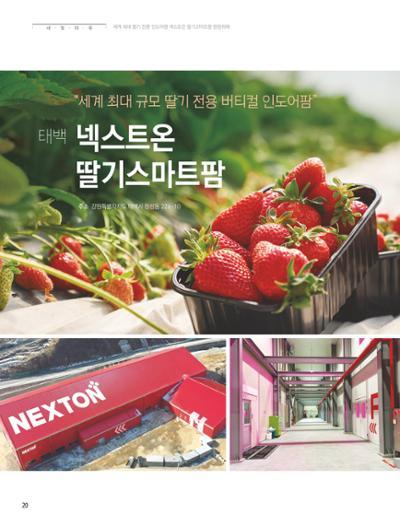 탄광지역발전을 위한 소식지 새빛마루 9호 20페이지
