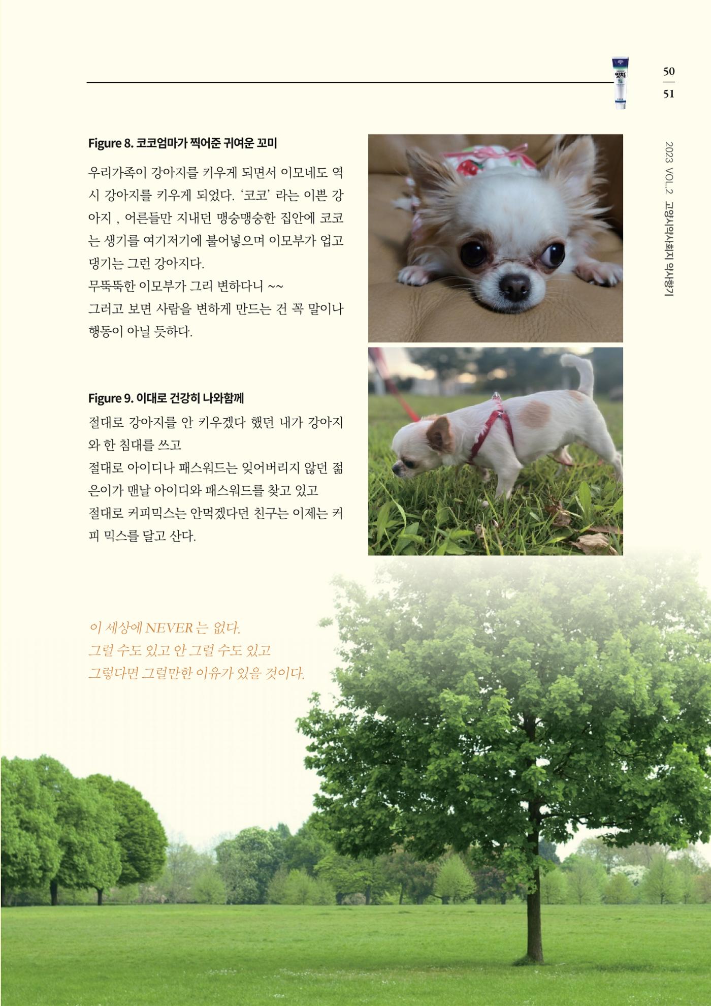 고양시약사회지 약사향기2호 53페이지