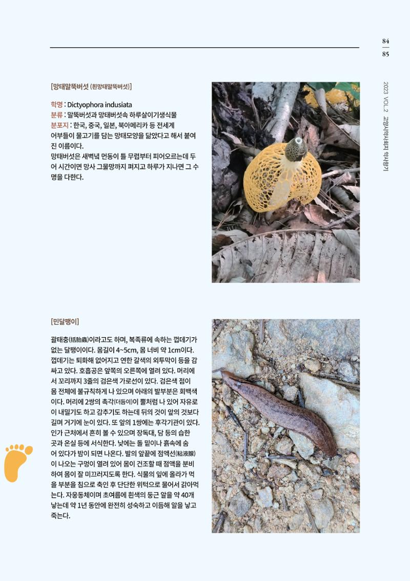 고양시약사회지 약사향기2호 87페이지