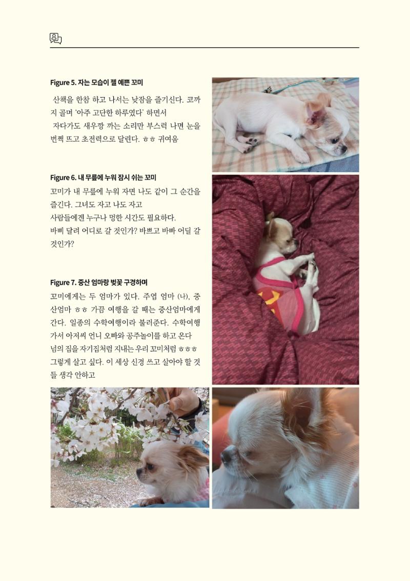 고양시약사회지 약사향기2호 52페이지