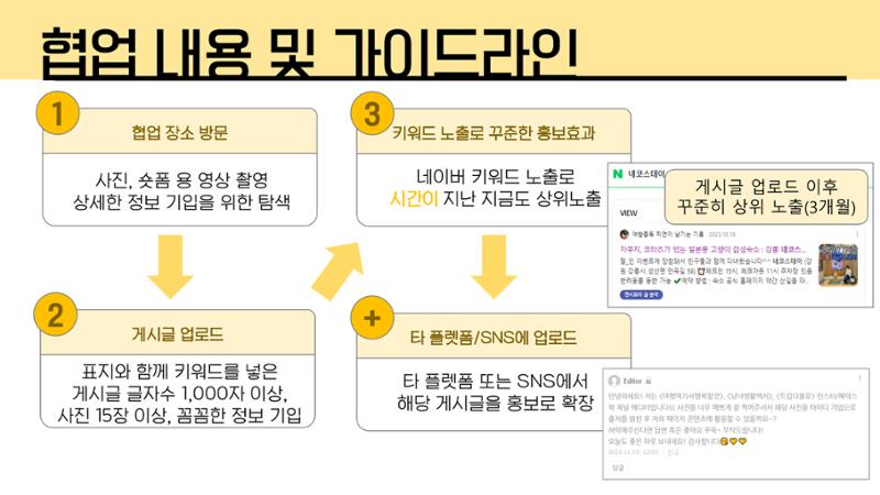여행 인플루언서 찌연_포트폴리오 5페이지