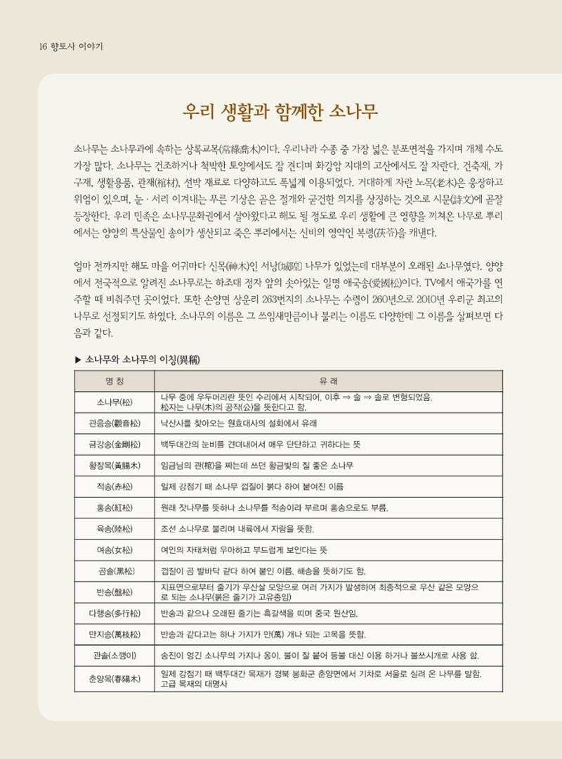 양양소식지 2024. 2월호 16페이지