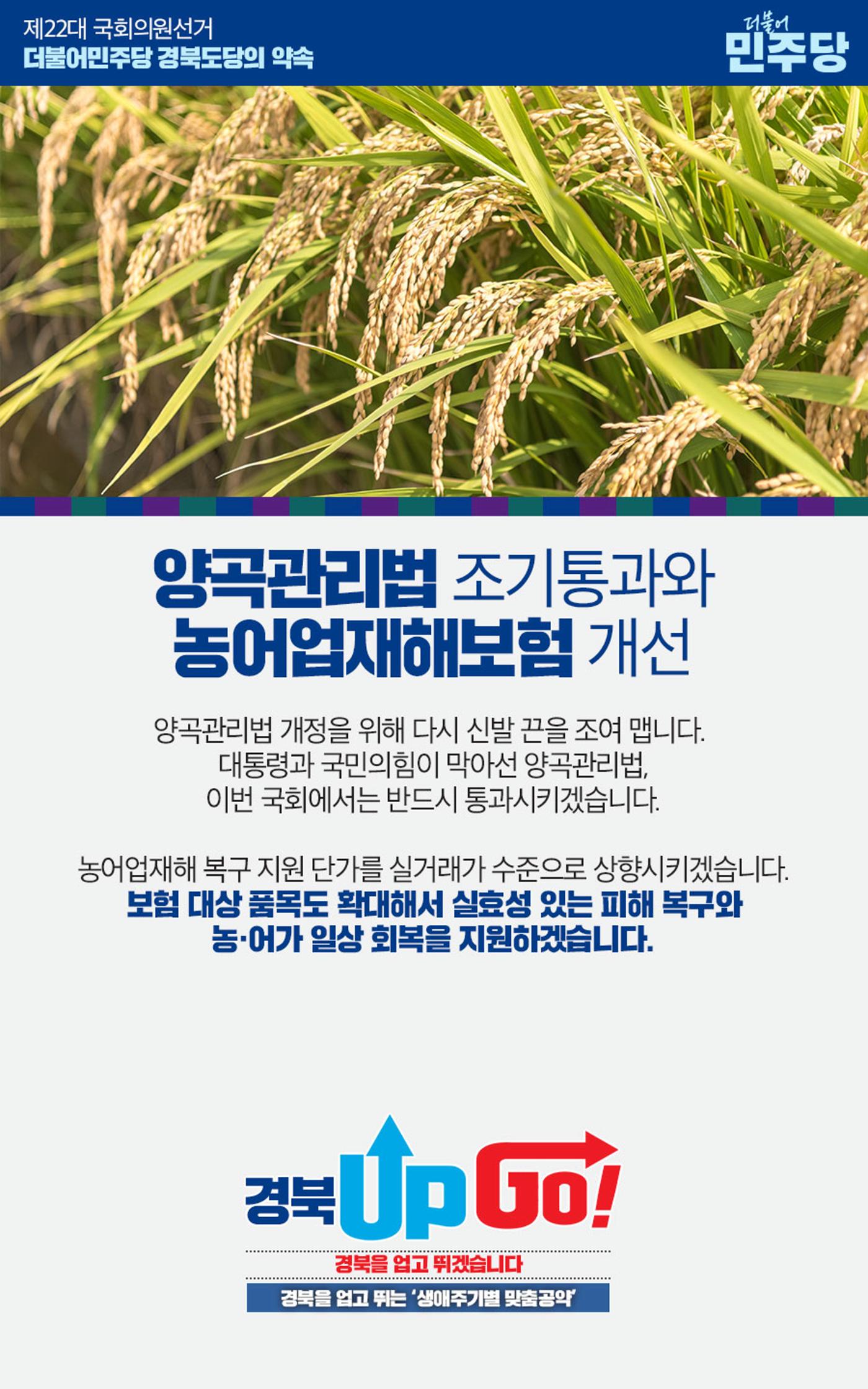 맞춤공약 7페이지
