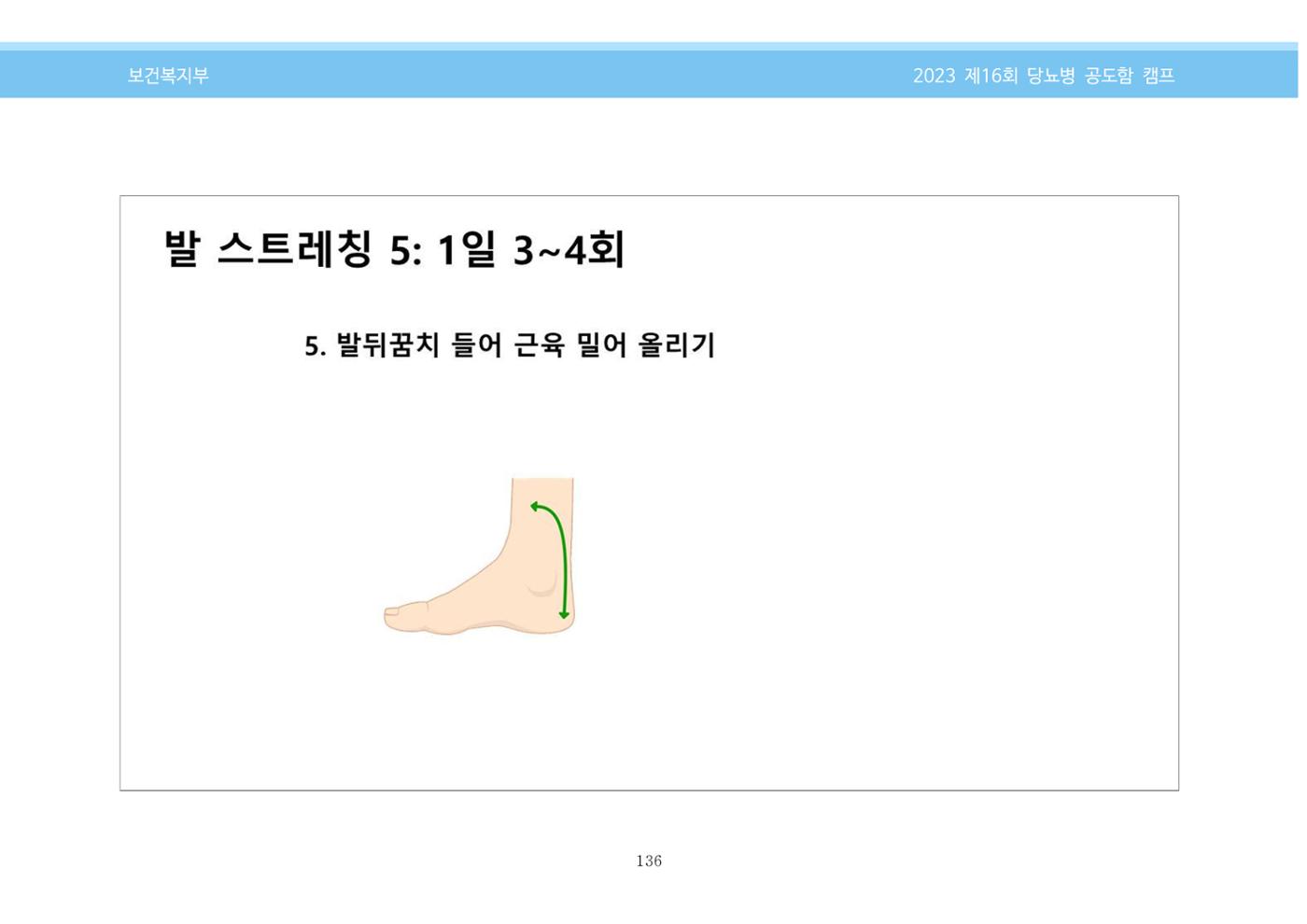 한국소아당뇨인협회 16회 공도함 캠프 E북 자료집 136페이지
