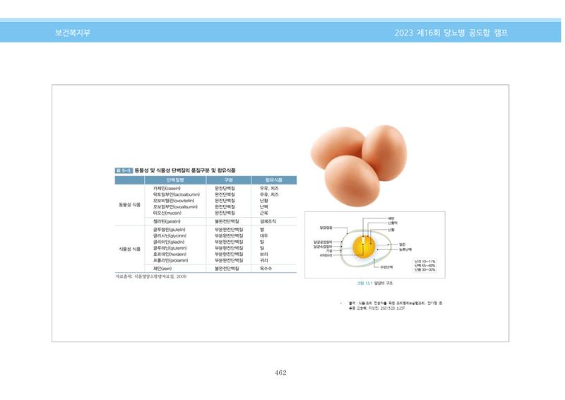 한국소아당뇨인협회 16회 공도함 캠프 E북 자료집 462페이지