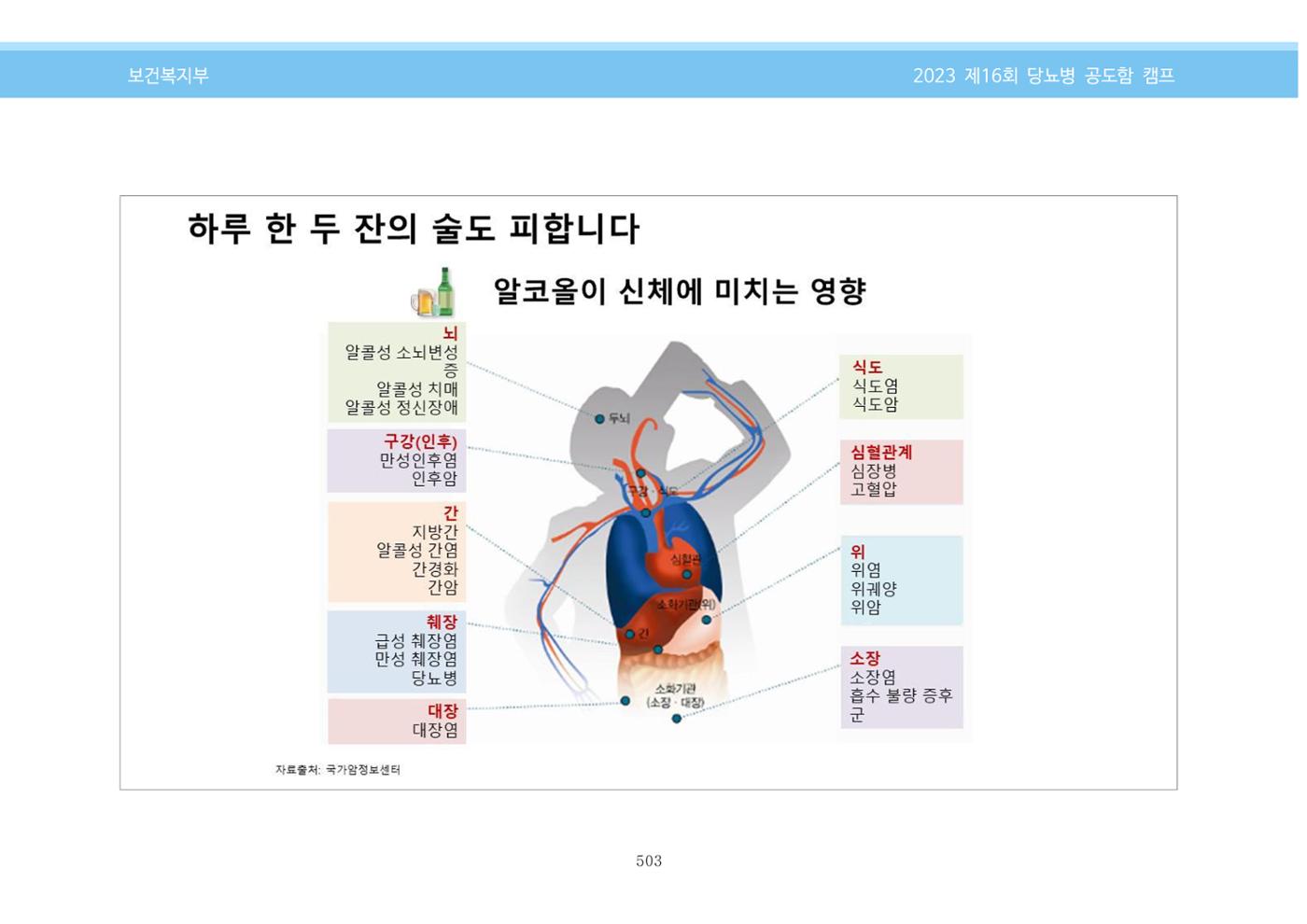 한국소아당뇨인협회 16회 공도함 캠프 E북 자료집 503페이지
