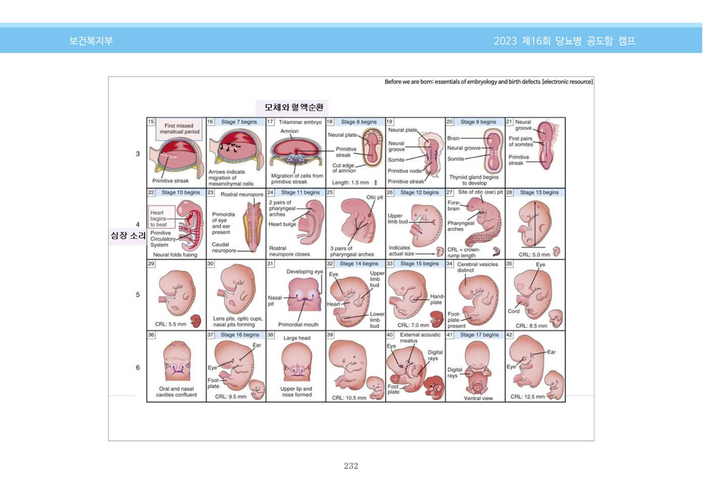 한국소아당뇨인협회 16회 공도함 캠프 E북 자료집 232페이지