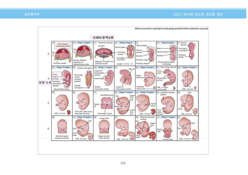 한국소아당뇨인협회 16회 공도함 캠프 E북 자료집 232페이지