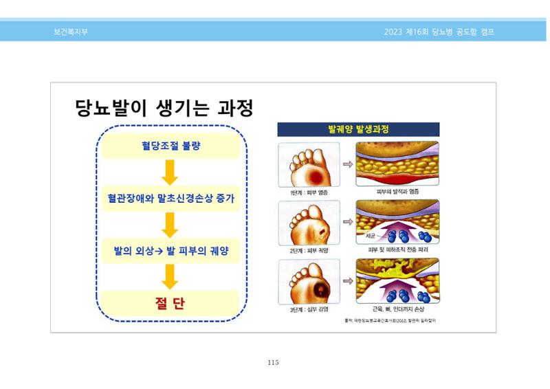 한국소아당뇨인협회 16회 공도함 캠프 E북 자료집 115페이지