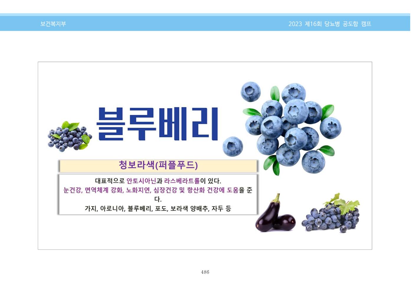한국소아당뇨인협회 16회 공도함 캠프 E북 자료집 486페이지