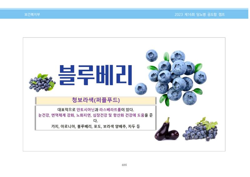 한국소아당뇨인협회 16회 공도함 캠프 E북 자료집 486페이지