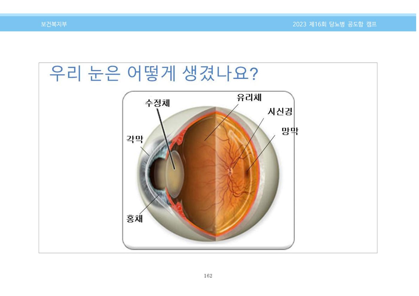 한국소아당뇨인협회 16회 공도함 캠프 E북 자료집 162페이지